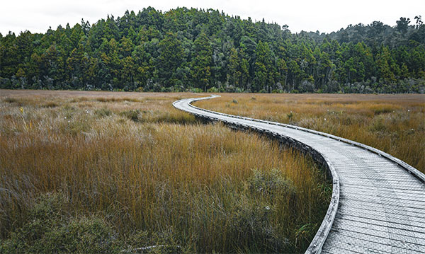 Working landscapes…